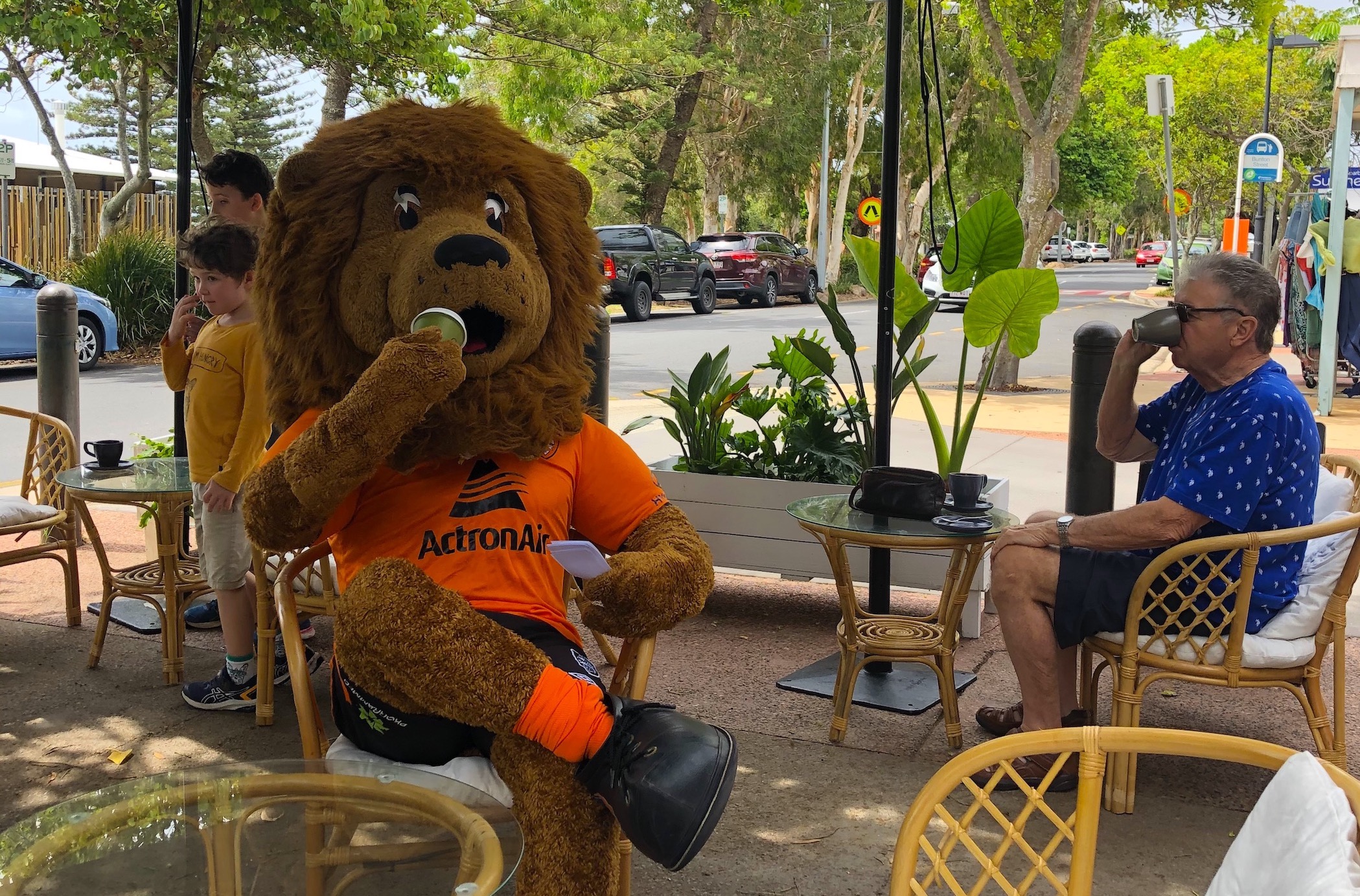 Roary's Guide to Redcliffe 